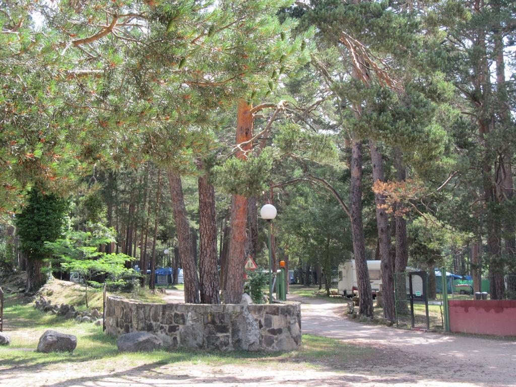 Camping Cobijo Винуэса Экстерьер фото